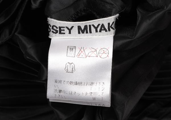 ISSEY MIYAKE Pleated Skipper Top Size M