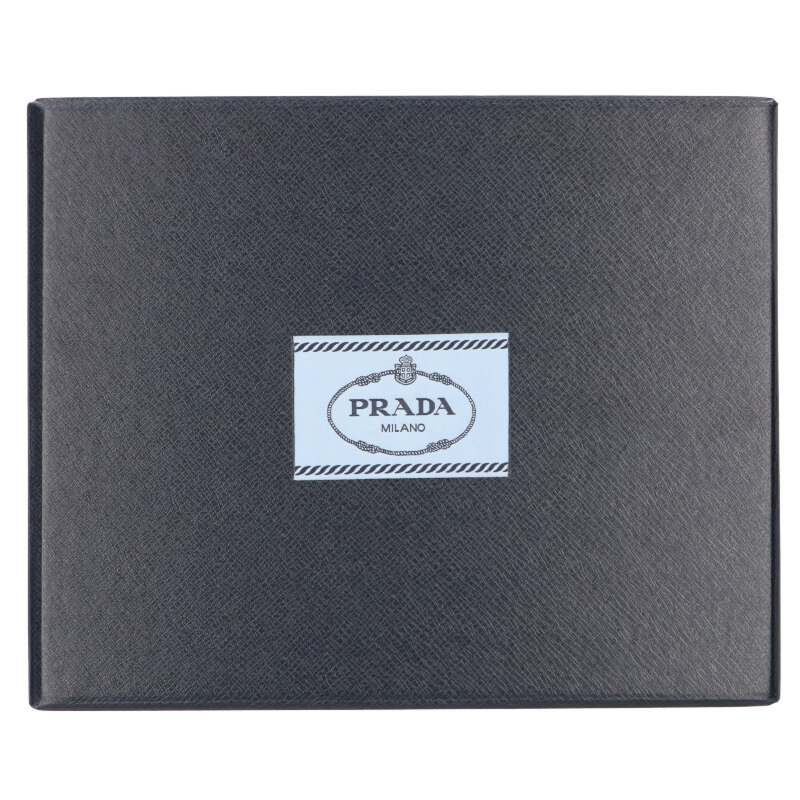 Prada Re-Nylon Triangle Logo Pouch Light Blue