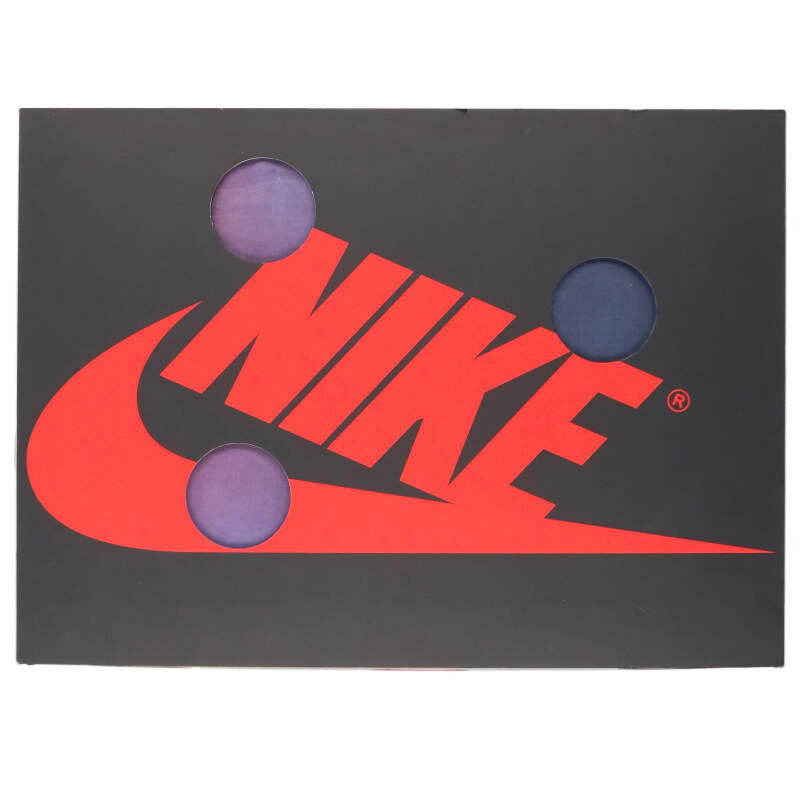 NIKE Air Jordan 1 Retro High OG Alaska AA3834-100 Size 10