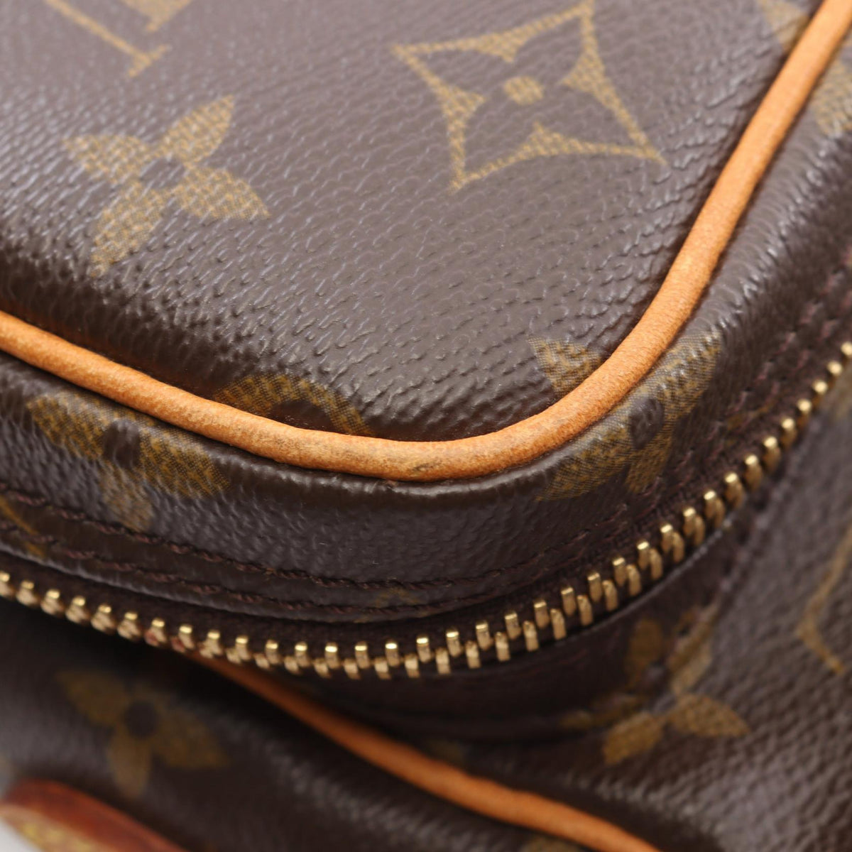LOUIS VUITTON Amazon Monogram Bag Brown
