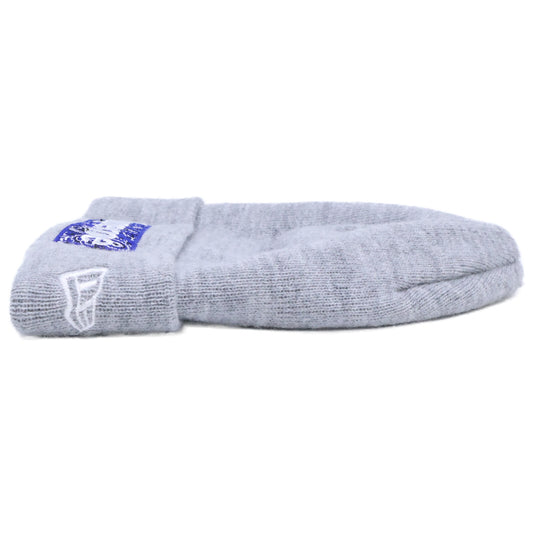 Supreme 19AW New Era Paisley Box Logo Beanie Gray