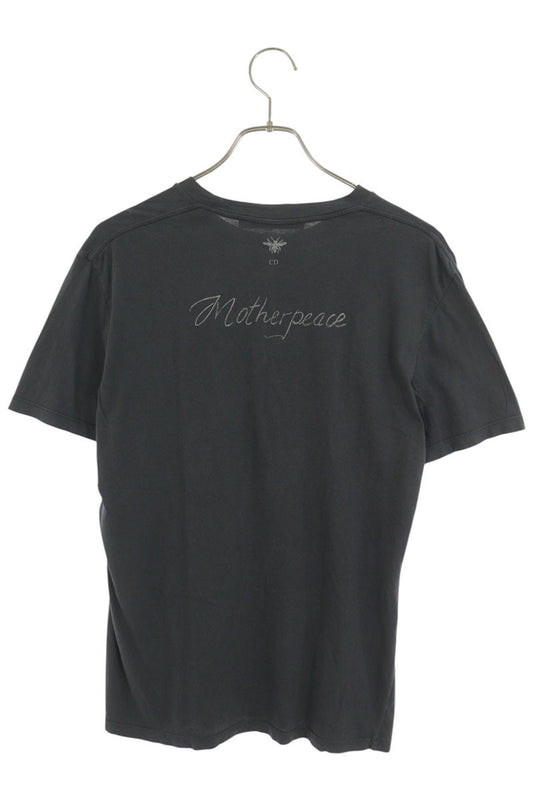 Christian Dior Swords BEE Print T-Shirt Gray Size L