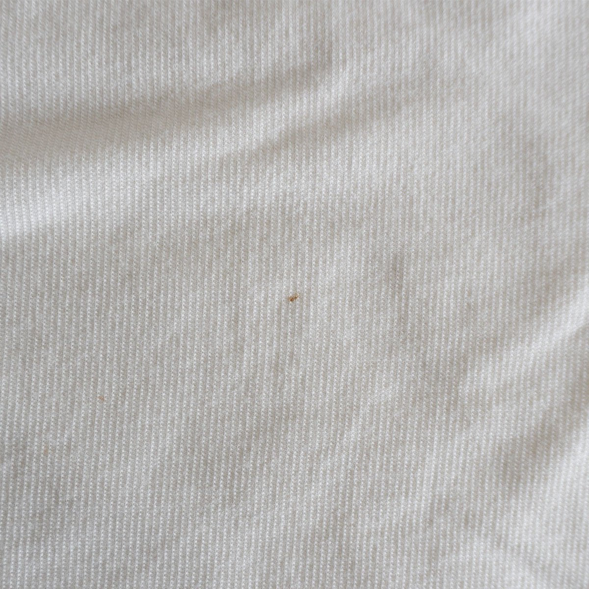 Stone Island 01SS T-shirts Size XL