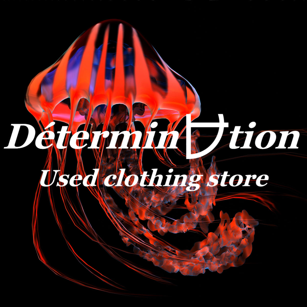 Determination