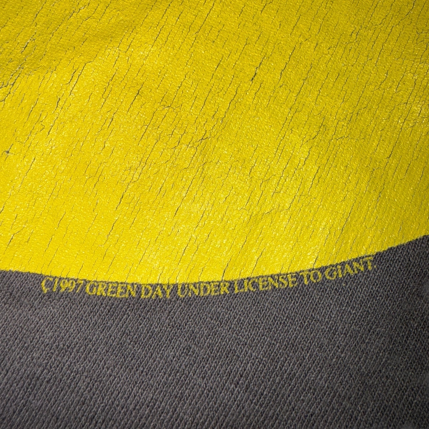 GREEN DAY 90s Vintage "Nimrod." Album Art Green Size XL