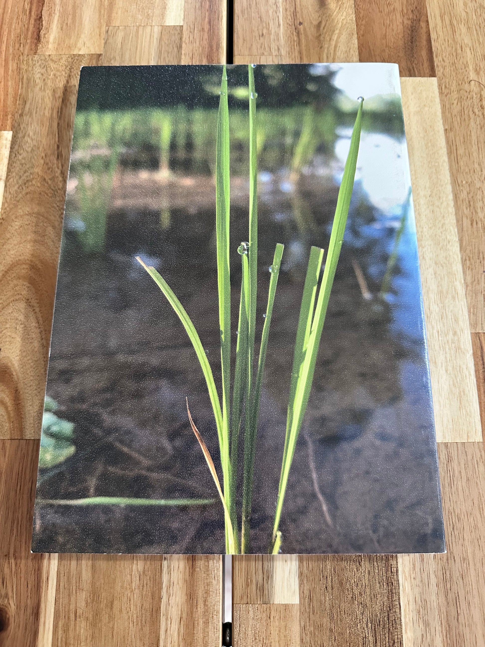 Kapital - Kapital Catalog 2010 DENIMING FOR SUNKEN TREASURE Summer