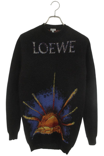 LOEWE Jacquard Sunrise Logo Knit Multi Size XS