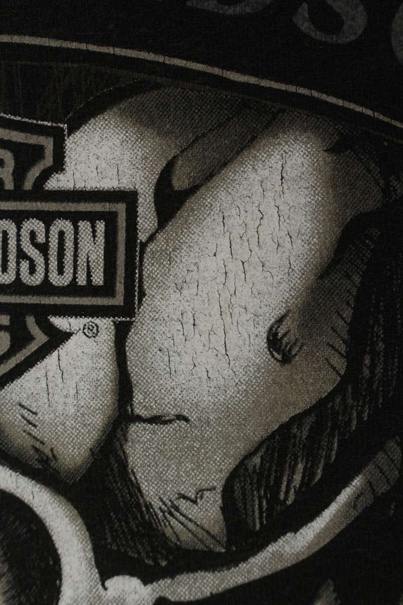 Harley-Davidson Skull Print Long Sleeve Tee Black Size M