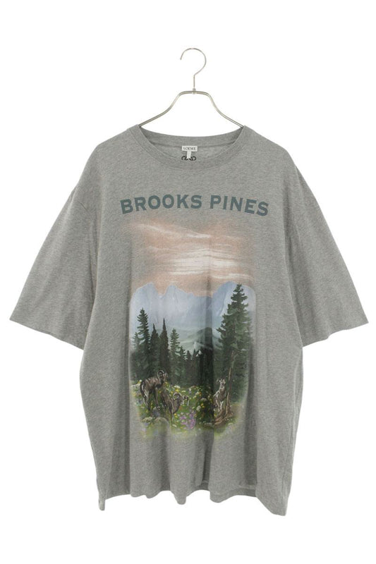 Loewe Print T-Shirt Gray Size XL