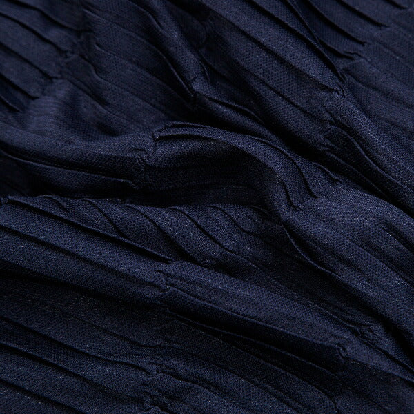 ISSEY MIYAKE Border Pleat Skirt Blue Size M