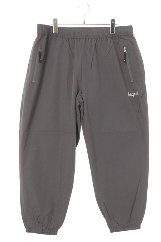 SEQUEL 25SS Logo Embroidered Nylon Pants Gray Size 36