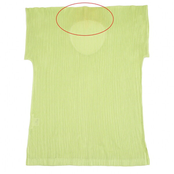 PLEATS PLEASE Mesh Flat Design Short Light Green Size 3