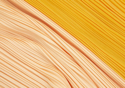 PLEATS PLEASE 00AW Yokoo Mimi Carnation Skirt Orange Size 1