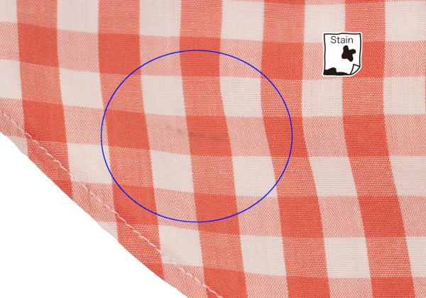 COMME des GARCONS SHIRT Gingham Check Shirt Red/White Size M