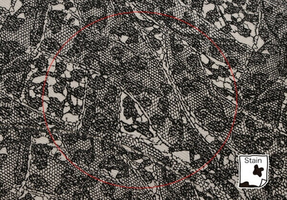 ISSEY MIYAKE Lace Print Curved Panel White Black Pants Size 1
