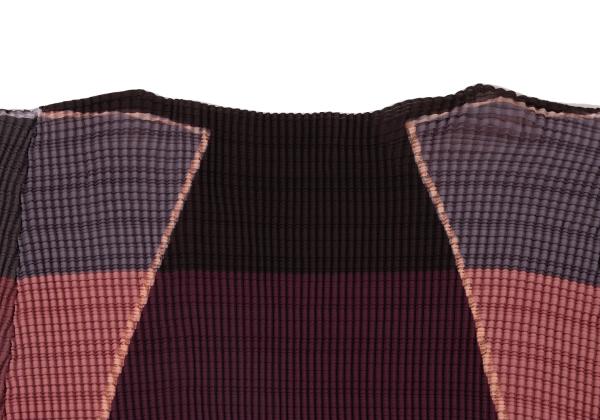 ISSEY MIYAKE Pleated Panel Print Pink Multi Size 2