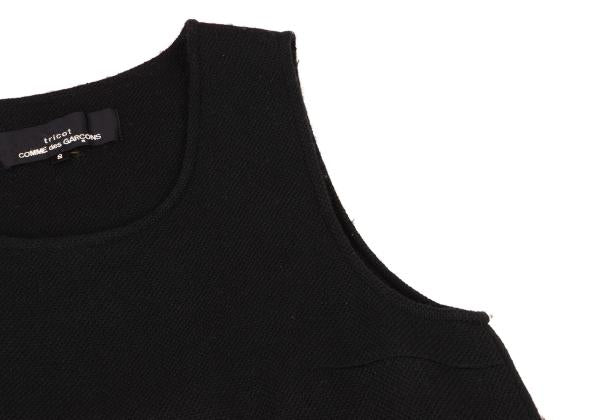 tricot COMME des GARCONS Wool Shaggy Hem Check Dress Size S