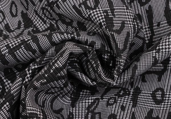 COMME des GARCONS HOMME PLUS 23AW Print Grey Black Jacket Size L