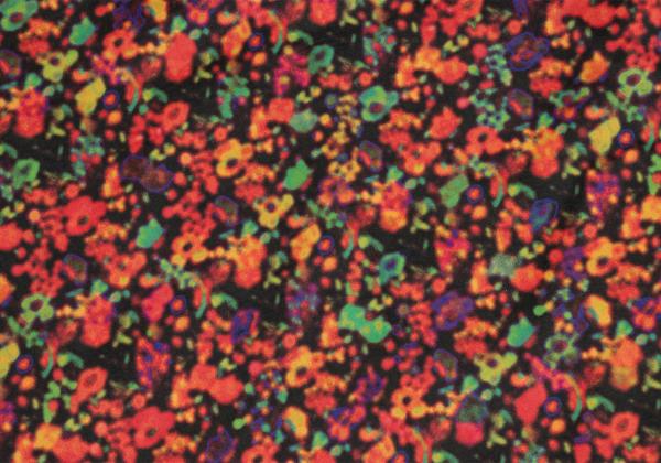 Paul Smith Graphic Print Long Sleeve Shirt Black Size L