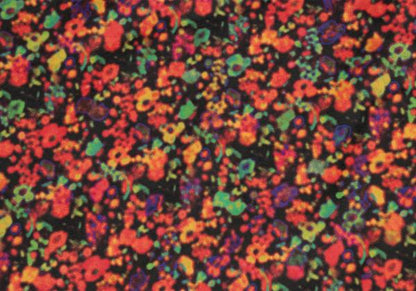 Paul Smith Graphic Print Long Sleeve Shirt Black Size L