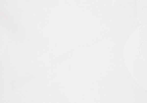Issey Miyake Men Takashi Murakami T-Shirt White Size F