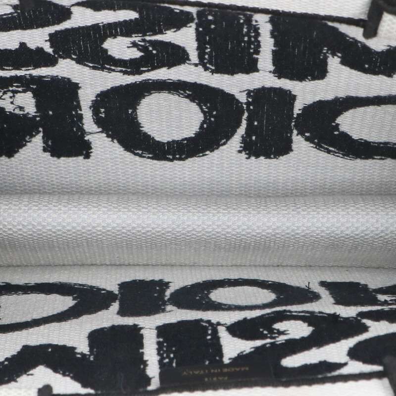 Christian Dior Book Tote Painted Logo Tote Size ONE SIZE