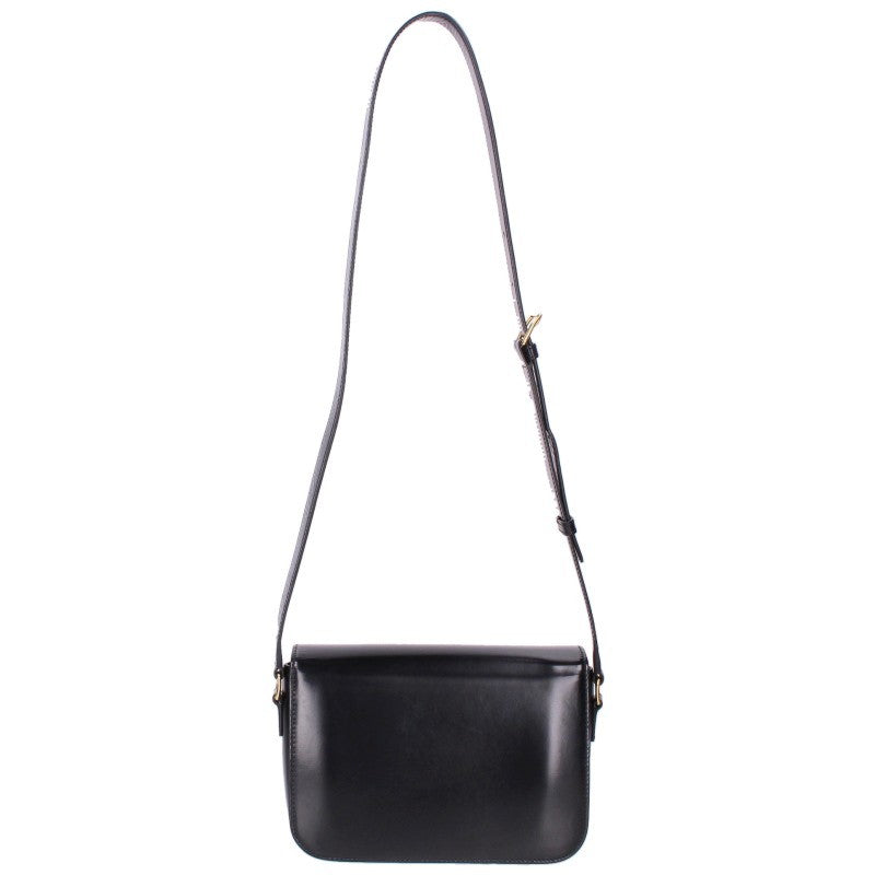 CELINE Classic Triomphe Shiny Calf Leather Bag Size M
