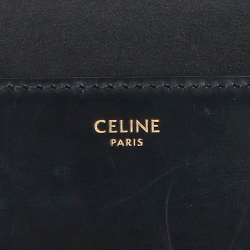 CELINE Classic Triomphe Shiny Calf Leather Bag Size M