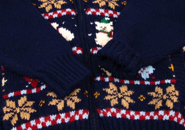 Karl Helmut Animal Fair Isle Zip Knit Sweater Blue Size M