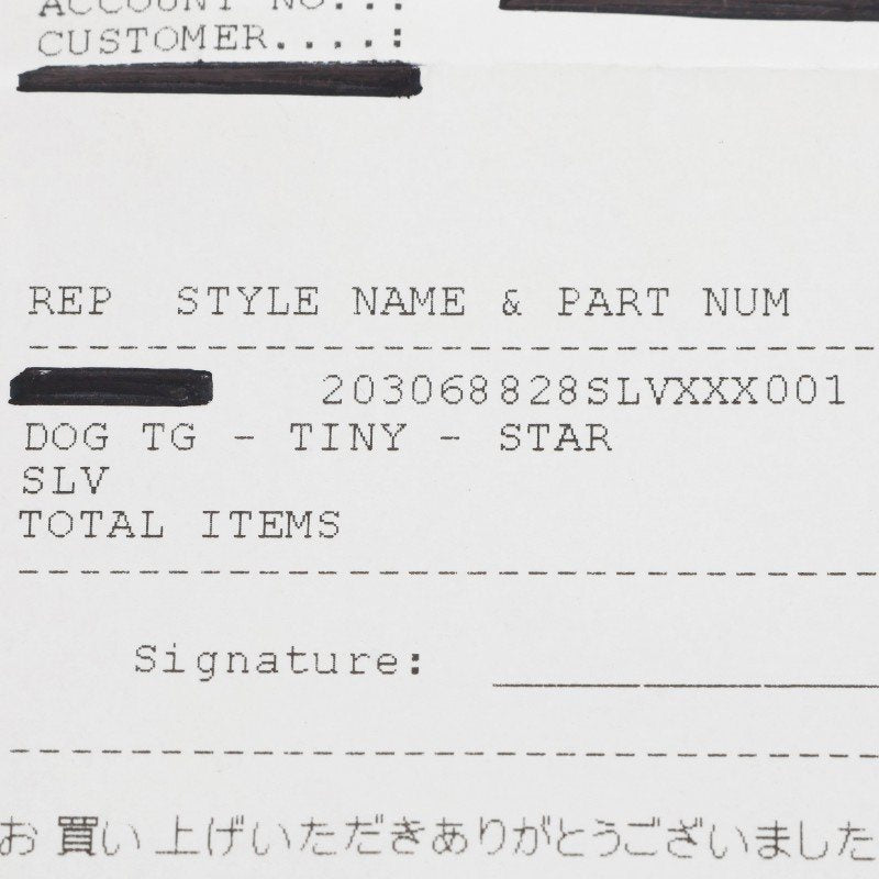 Chrome Hearts D T TNY STAR Tiny Dog Tag Star Necklace Silver
