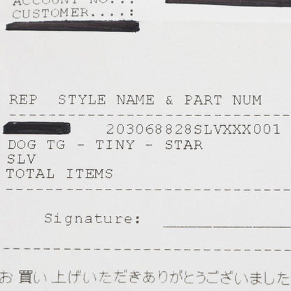 Chrome Hearts D T TNY STAR Tiny Dog Tag Star Necklace Silver