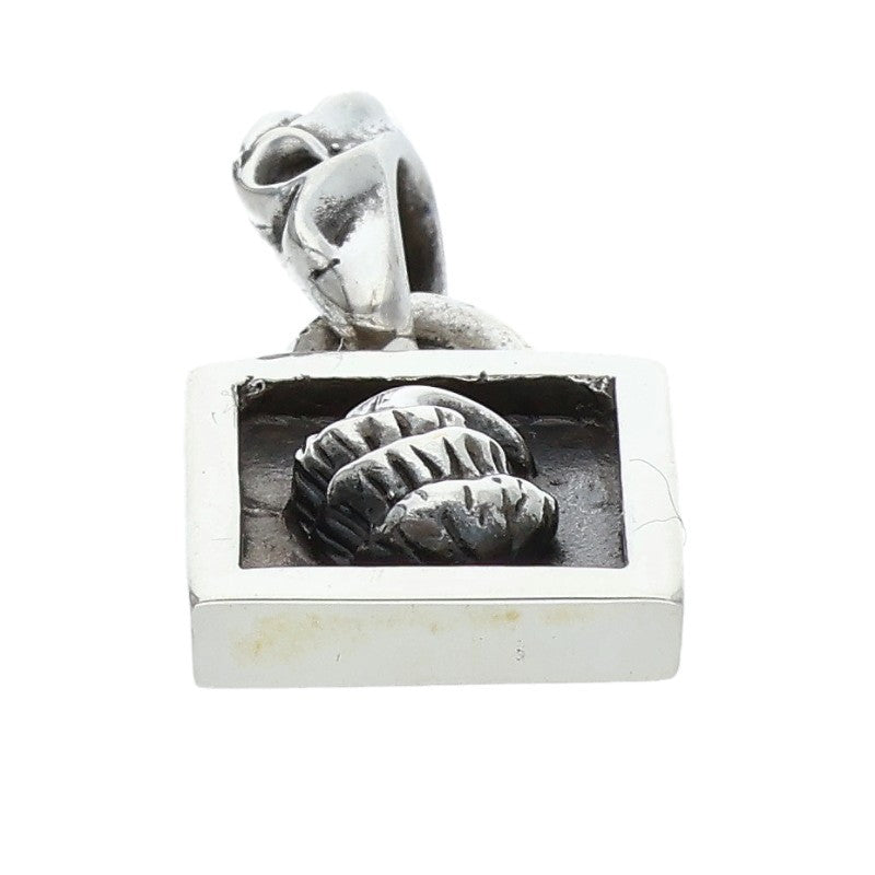 Chrome Hearts Framed Crow 925 Silver Necklace Charm