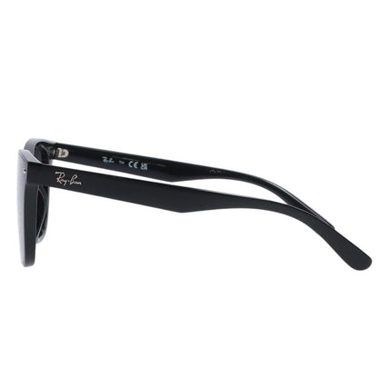 Ray-Ban RB4391D Black Wellington Sunglasses Size ONE SIZE