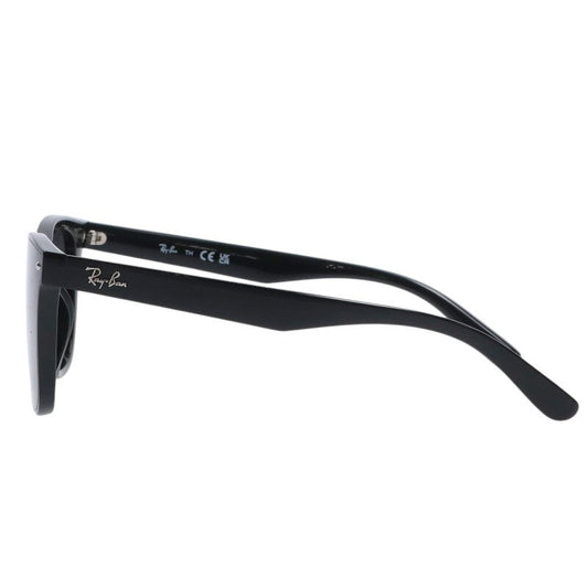 Ray-Ban RB4391D Black Wellington Sunglasses Size ONE SIZE