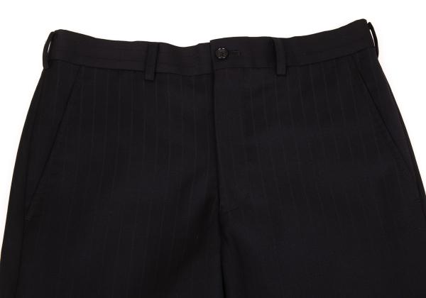 COMME des GARCONS HOMME PLUS Shadow Pants Black Size XS