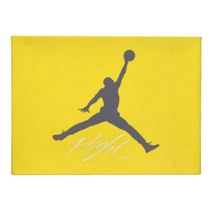 NIKE Air Jordan 4 Tour Yellow Size 9.5