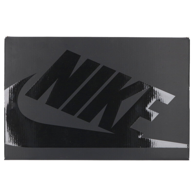 fragment design x Nike Dunk High City Pack Beijing Size 9
