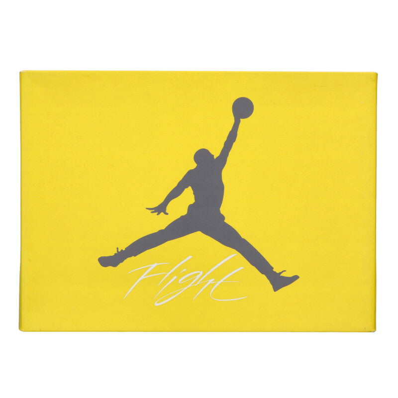 NIKE Air Jordan 4 Tour Yellow CT8527-700 Size 10.5
