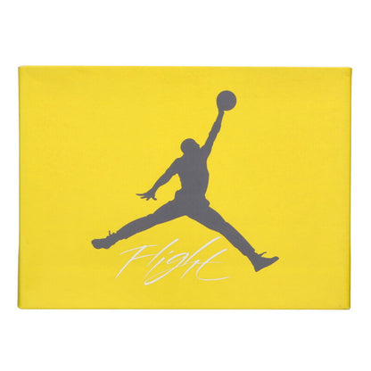 NIKE Air Jordan 4 Tour Yellow CT8527-700 Size 10.5