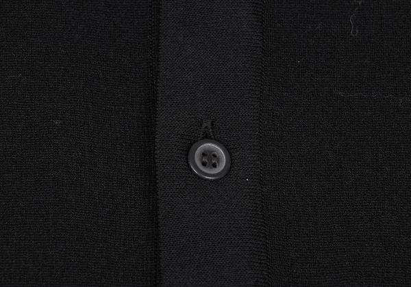 ISSEY MIYAKE 25SS Sheer Stretch Shirt Black Size 2