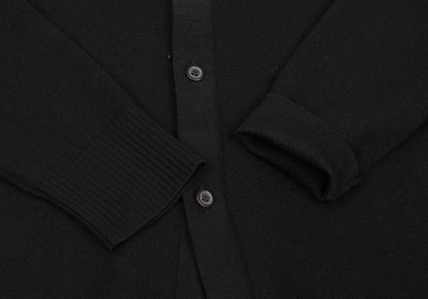 ISSEY MIYAKE 25SS Sheer Stretch Shirt Black Size 2