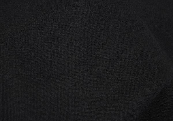 ISSEY MIYAKE 25SS Sheer Stretch Shirt Black Size 2