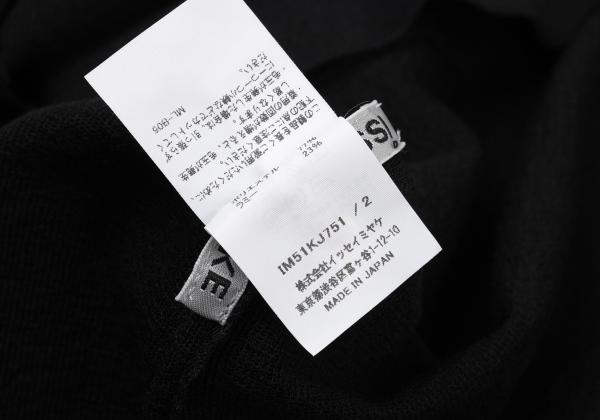 ISSEY MIYAKE 25SS Sheer Stretch Shirt Black Size 2