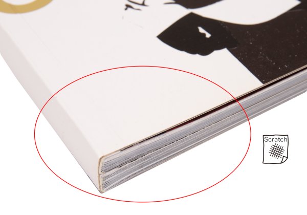COMME des GARCONS WERK No.8 THE INSIDE OF A SHIRT Book