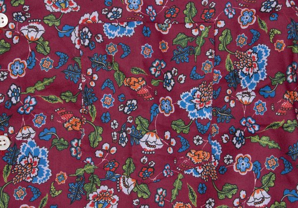COMME des GARCONS SHIRT 19AW Botanical Shirt Red Size L
