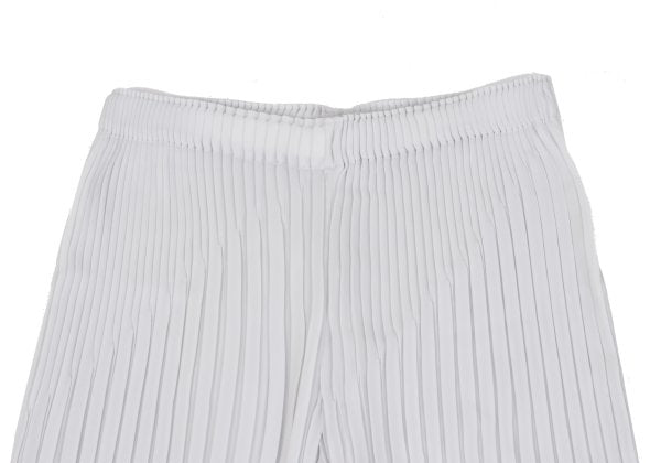 ISSEY MIYAKE Pleated Straight Pants Light Gray Size 2
