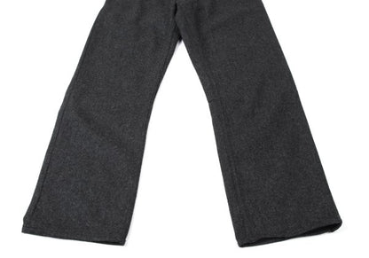 COMME des GARCONS HOMME PLUS Wool Nylon Pants Gray Size XS