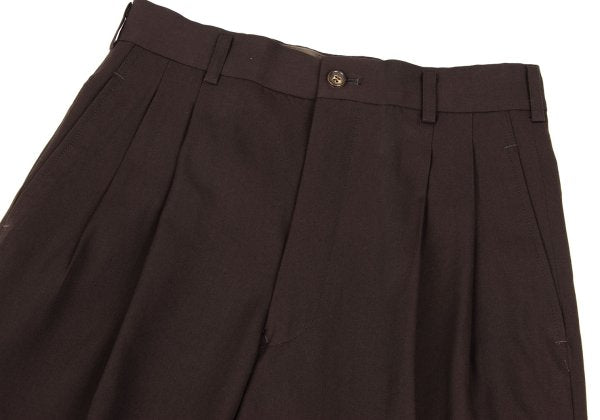COMME des GARCONS HOMME PLUS Wool Pants Brown Size S