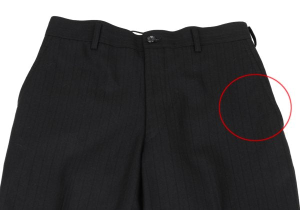 COMME des GARCONS HOMME PLUS Wool Stripe Pants Black Size XS