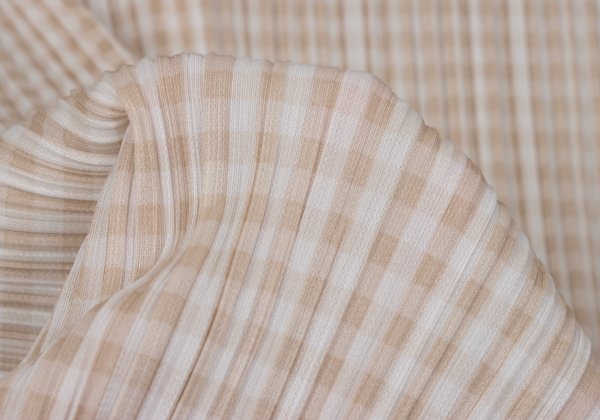 PLEATS PLEASE Gingham Button-Down Jacket Beige White Size 3